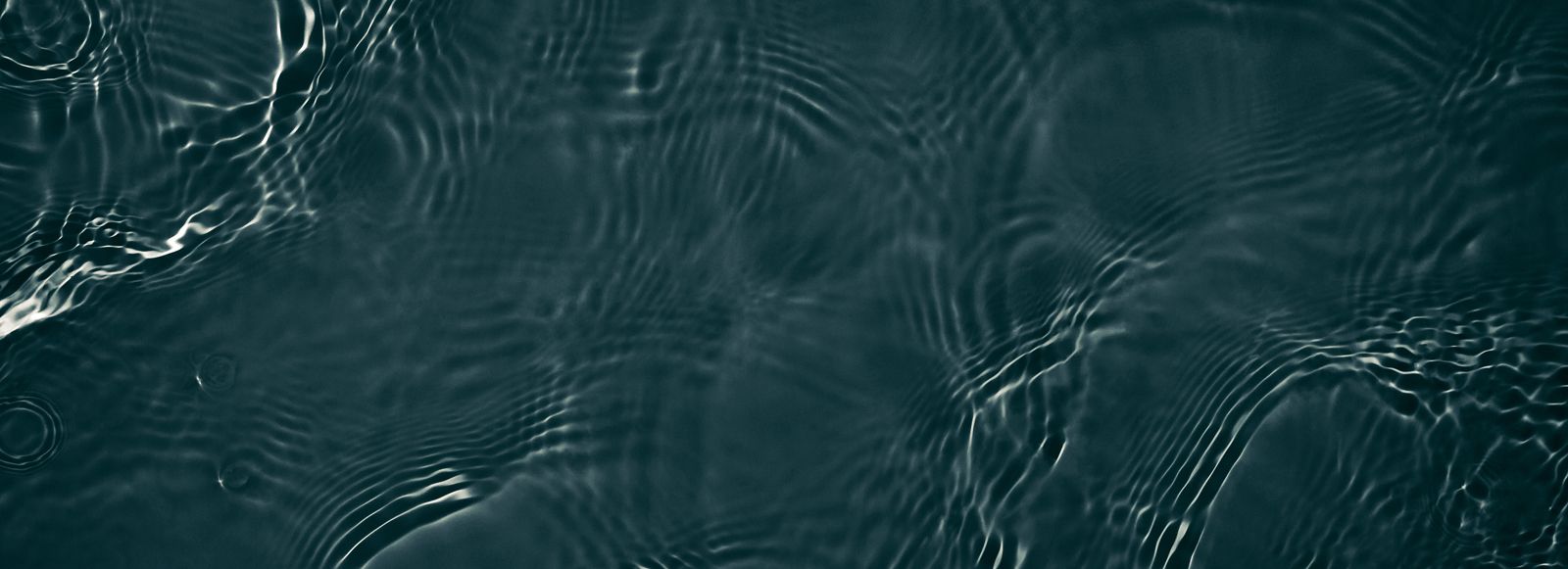 Main Form Background Image